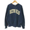 ザコットンエクスチェンジ THE COTTON EXCHANGE 90S USA製 OLD HILTON HEAD アーチ ロゴ カレッジ ヘビー ウェイト スウェット 肉厚 メンズ import:XXL