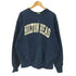 ザコットンエクスチェンジ THE COTTON EXCHANGE 90S USA製 OLD HILTON HEAD アーチ ロゴ カレッジ ヘビー ウェイト スウェット 肉厚 メンズ import:XXL