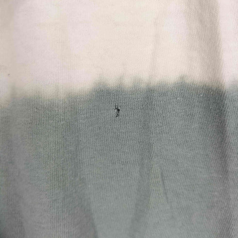 ヘインズ Hanes 袖裾シングル タイダイ染Tシャツ メンズ JPN:M