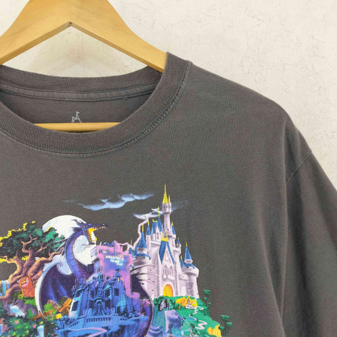 ヘインズ Hanes プリントクルーネックS/S Tシャツ メンズ import:M