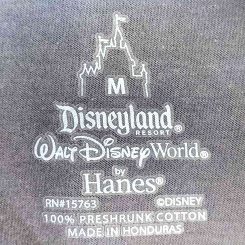 ヘインズ Hanes プリントクルーネックS/S Tシャツ メンズ import:M