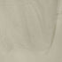 ステューシー Stussy Born to be Wild メタリック Tシャツ メンズ import:L