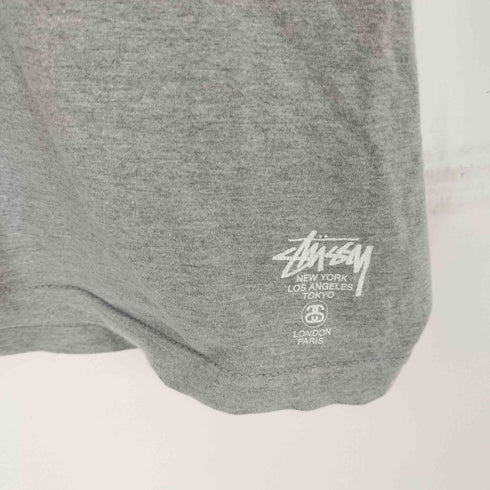 ステューシー Stussy 星条旗 ビッグロゴ カレッジ Tシャツ メンズ import:M