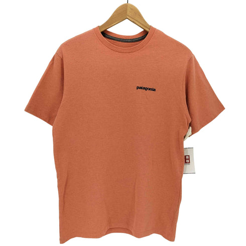 パタゴニア patagonia 21SS P-6ロゴ レスポンシビリティー Tシャツ メンズ import:XS
