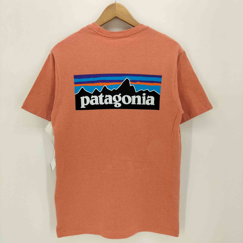 パタゴニア patagonia 21SS P-6ロゴ レスポンシビリティー Tシャツ メンズ import:XS