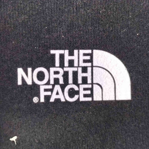 ザノースフェイス THE NORTH FACE Stratum Pika Fleece メンズ JPN:28