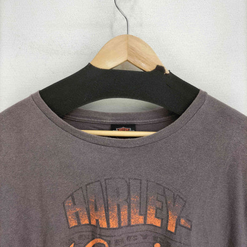 ハーレーダビッドソン HARLEY-DAVIDSON 両面プリント S/S Tシャツ メンズ import:L