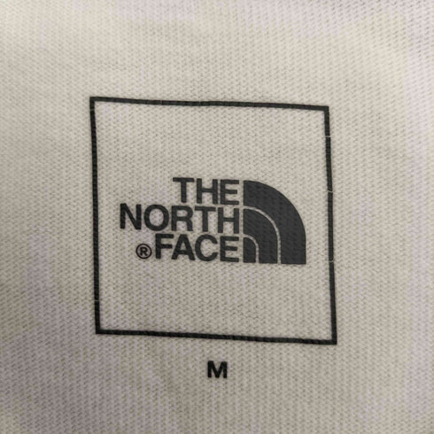 ザノースフェイス THE NORTH FACE ショートスリーブワンポイントグラフィックティー メンズ import:M