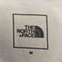 ザノースフェイス THE NORTH FACE ショートスリーブワンポイントグラフィックティー メンズ import:M