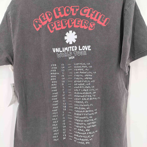 2024 UNLIMITED LOVE WORLD TOUR バンド Tシャツ メンズ import:L