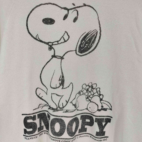 フルーツオブザルーム FRUIT OF THE LOOM キャラクターデザイン 甘編み裏毛Tシャツ メンズ JPN:M