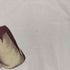 ロックバンド プリントクルーネックTシャツ メンズ JPN:M