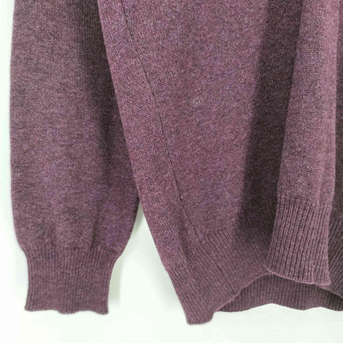 ライルアンドスコット LYLE&SCOTT ホーイック スコットランド製 Vネック ニット メンズ import:S
