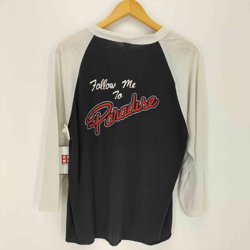 アンビル Anvil 80s USA製 シングルステッチ アーティストプリントラグランTシャツ メンズ import:XL