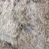 real fur jacket リアルファージャケット レディース