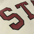 ステューシー Stussy Arch Baseball Jersey アーチベースボールジャージー メンズ import:S