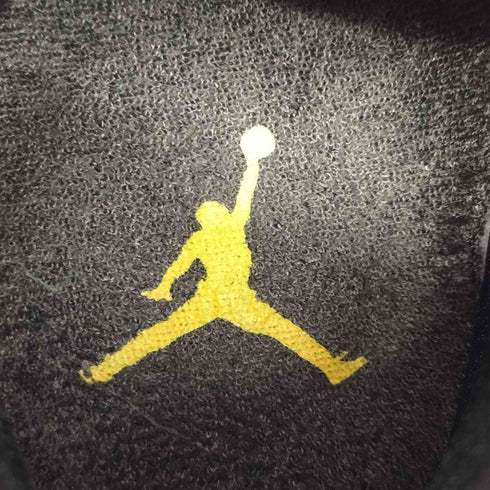 ジョーダンブランド JORDAN BRAND Air Jordan 11 Retro Gamma メンズ JPN:27.5