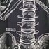 90-00S FRUIT OF THE LOOM ボディ leslie arwin 1978 骨格標本 プリント S/S クルーネック Tシャツ メンズ import:XL