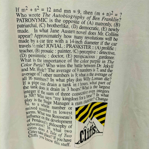 ジャージーズ JERZEES 90S ボディ USA製 テキスト プリント S/S Tシャツ メンズ import:XL