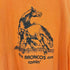 90S THE BRONCOS ARE COMIN シングルステッチ Tシャツ メンズ import:XL