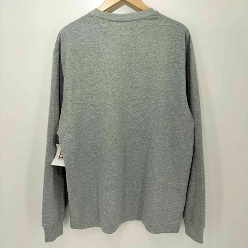 ザノースフェイス THE NORTH FACE ロングスリーブスモールボックスロゴティー メンズ JPN:XL