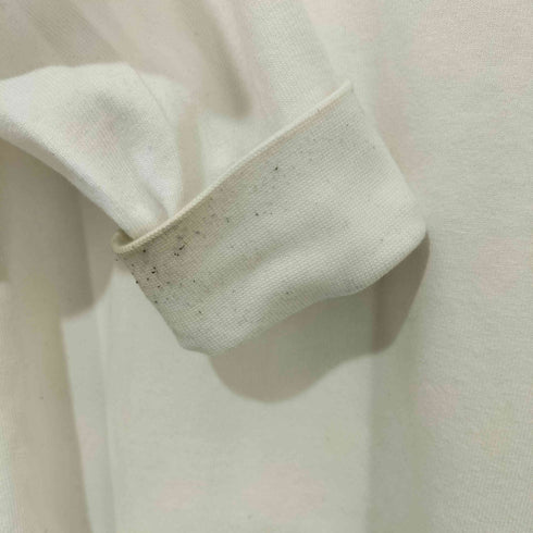 ザノースフェイス THE NORTH FACE NUPTSE COTTON TEE ヌプシ コットンティー メンズ JPN:L