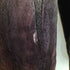 サガミンク SAGA MINK sheared mink 銀サガ シェアードミンク ミンクファーコート レディース F