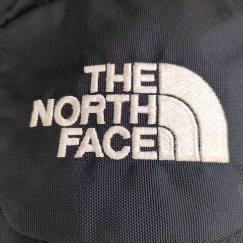 ザノースフェイス THE NORTH FACE BIG SHOT ビッグショット バックパック メンズ 30L