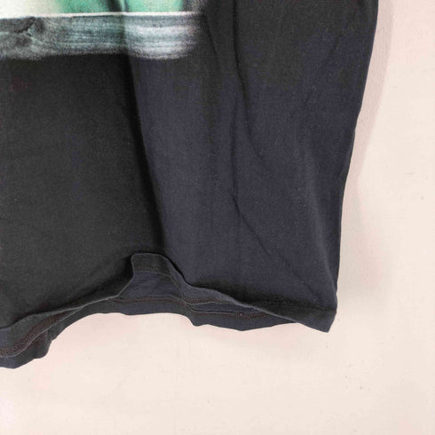フルーツオブザルーム FRUIT OF THE LOOM 90-00S フォトプリント S/S Tシャツ メンズ import:L