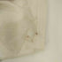 エルエルビーン L.L.Bean 1980 SS Catalog Trout-T-shirts メンズ import:M