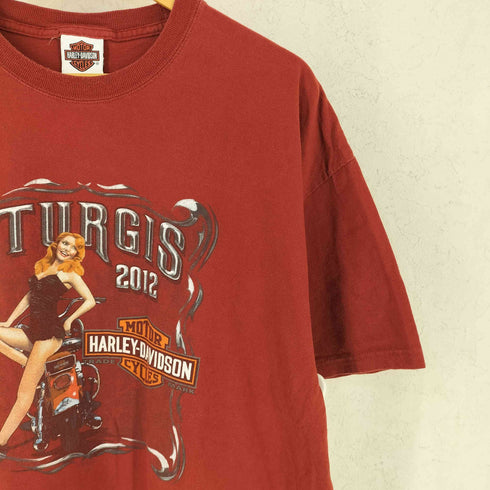 ハーレーダビッドソン HARLEY-DAVIDSON プリント Tシャツ メンズ XL