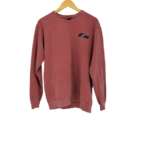コンフォートカラーズ COMFORT COLORS ピグメントスウェット メンズ import:M