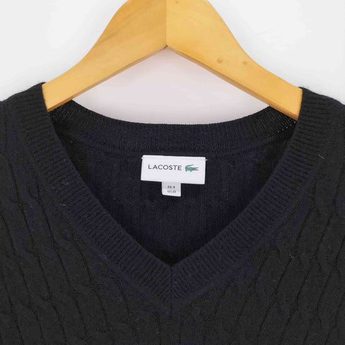 ラコステ LACOSTE cashmere カシミヤ混 Vネックセーター メンズ import:M