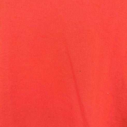 ジャージーズ JERZEES USA製 プリント Tシャツ レディース import:L