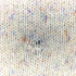 ALEXANDER JULIAN アーガイル柄 ウール ネップニット レディース import:M