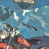 ハーレーダビッドソン HARLEY-DAVIDSON 00S HANEボディ NIGTH RIDER 両面 プリント クルーネック S/S Tシャツ コピーライト 2000 メンズ import:L