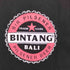 MADE IN BALI 両面 企業プリント S/S Tシャツ メンズ import:L