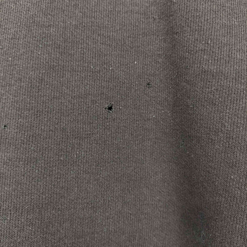 カーハート Carhartt ORIGINAL FIT 袖プリント プルオーバーパーカー メンズ import:M