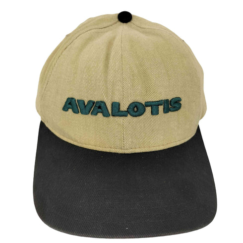 MADE IN USA AVALOTIS 2トーンキャップ メンズ