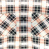 ウィアード WEIRDO 24AW WIND UP - L/S CHECK SHIRTS チェックワークシャツ メンズ JPN:S