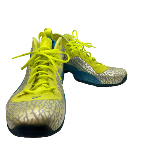 ナイキ NIKE AIR FLIGHTPOSITE EXPOSED メンズ JPN:29