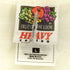 フルーツオブザルーム FRUIT OF THE LOOM 90S USA製 FRUIT OF THE LOOMボディ 国旗 1776 プリント タンクトップ メンズ import:L
