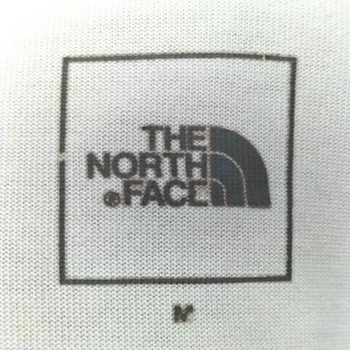 ザノースフェイス THE NORTH FACE Bandana Square Logo Tee メンズ import:M