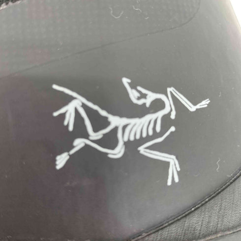 アークテリクス ARCTERYX Acrux TR GTX Boot メンズ JPN:27