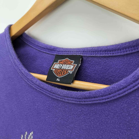 ハーレーダビッドソン HARLEY-DAVIDSON 00S OLD USA製 鷹 ホーク ラメ プリント L/S カットソー Tシャツ Y2K 2004 メンズ import:XL