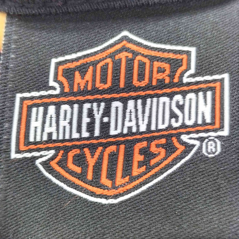 ハーレーダビッドソン HARLEY-DAVIDSON 00S OLD トライバル プリント L/S ヘンリーネック カットソー Y2K メンズ import:M