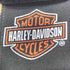 ハーレーダビッドソン HARLEY-DAVIDSON 00S OLD トライバル プリント L/S ヘンリーネック カットソー Y2K メンズ import:M