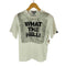 アンビル Anvil USA製 BONZAIPAINT WHAT THE HELL メッセージプリント Tシャツ メンズ import:S