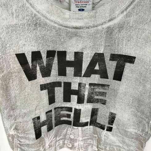 アンビル Anvil USA製 BONZAIPAINT WHAT THE HELL メッセージプリント Tシャツ メンズ import:S