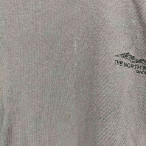 ザノースフェイス THE NORTH FACE ショートスリーブワンポイントグラフィックティー メンズ JPN:XL